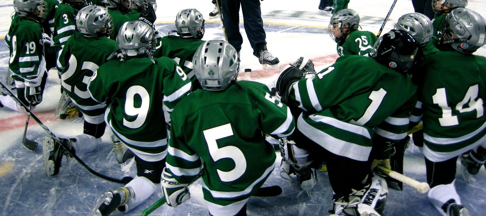 Buffalo Shamrocks Hockey Club