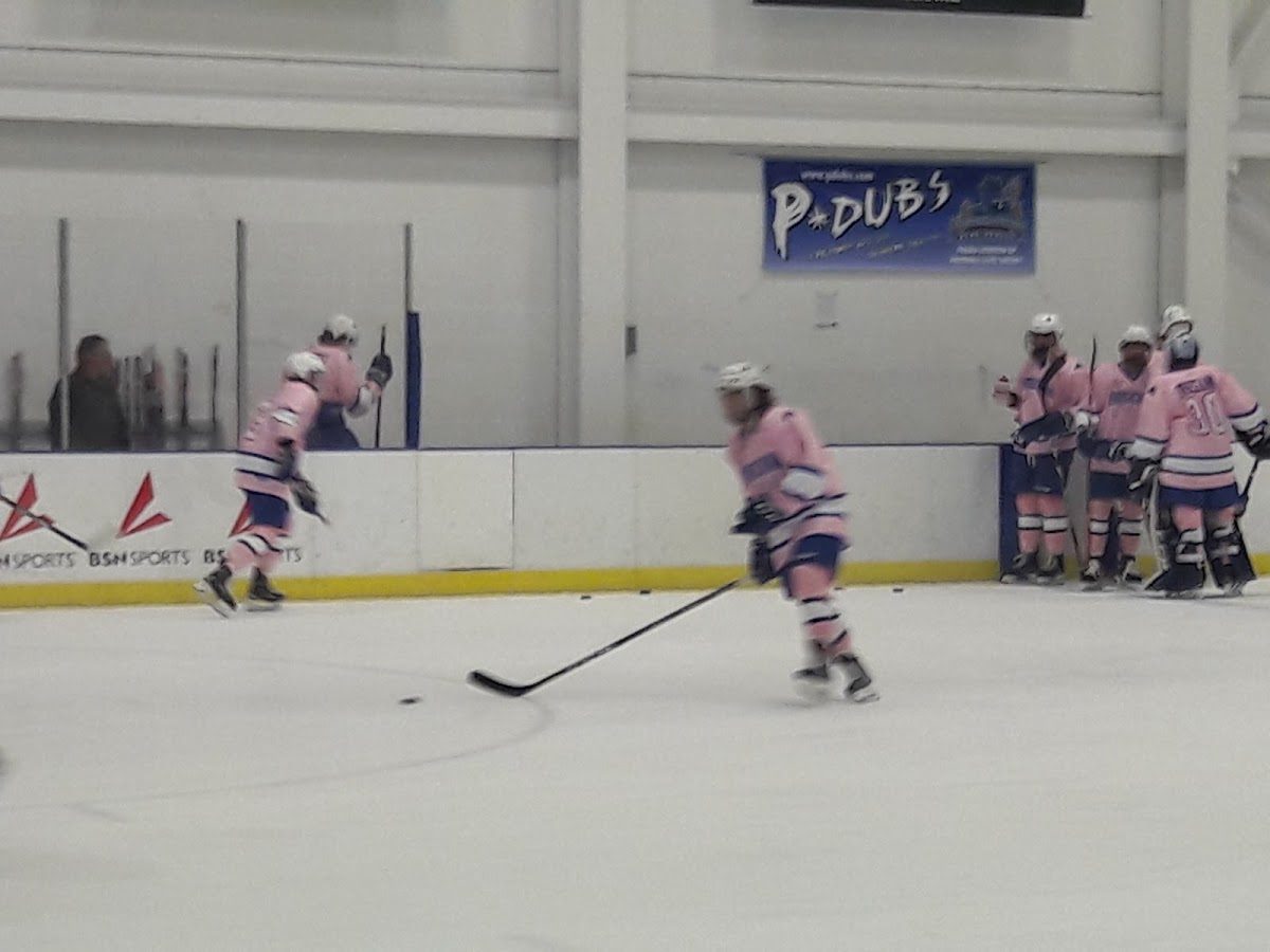 SUNY Fredonia Blue Devils Hockey