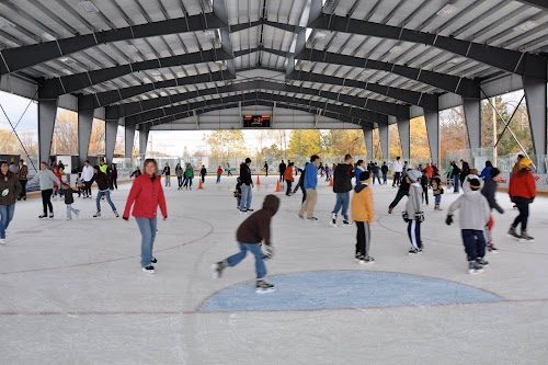 The Healthy Zone Rink